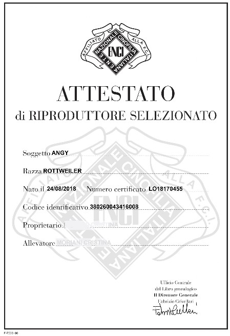 Enci Riproduttrice Selezionata