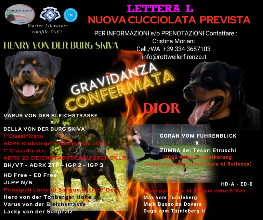 CUCCIOLI ROTTWEILER
