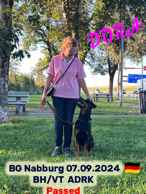 Rottweiler cucciolone