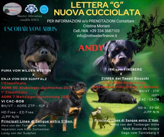 CUCCIOLI ROTTWEILER