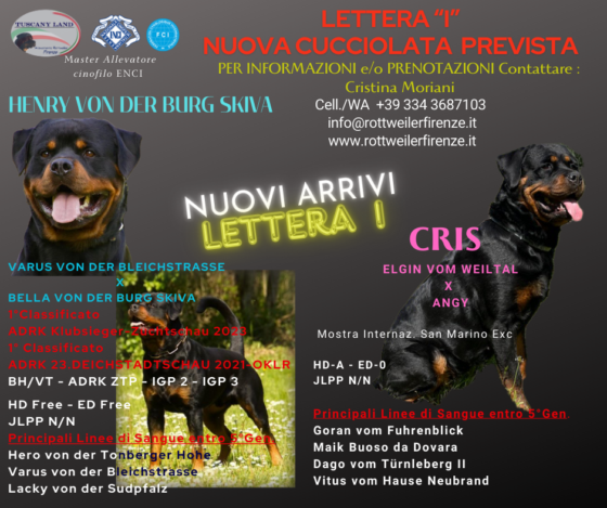 CUCCIOLI ROTTWEILER