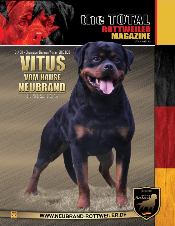 stallone rottweiler
