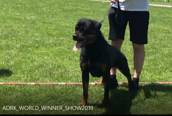 adrk world winner show