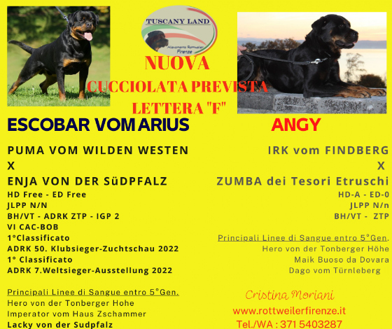 cucciolata rottweiler