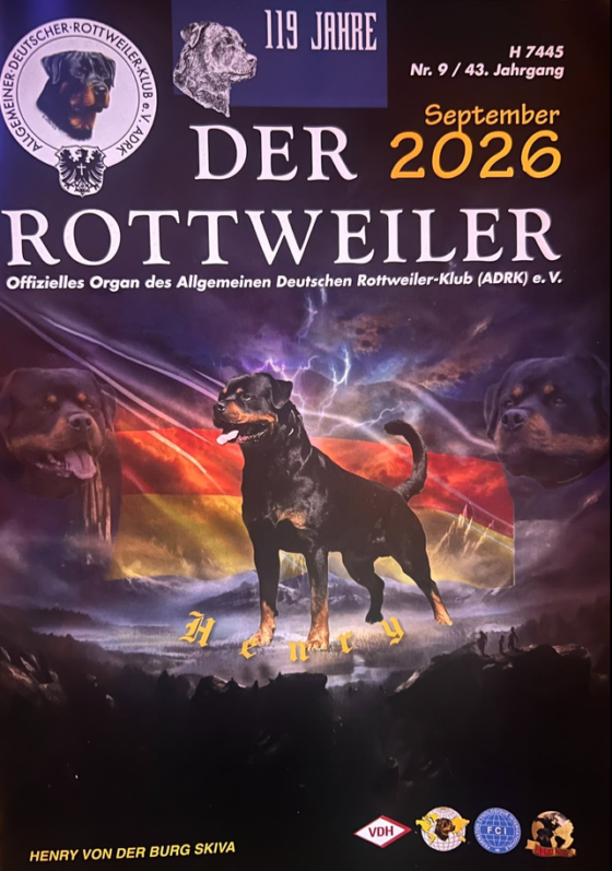VENDITA ROTTWEILER