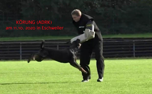 ADRK KÖRUNG