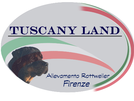 Tuscany Land